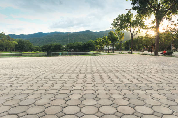 Best Residential Paver Driveway  in West Swanzey, NH